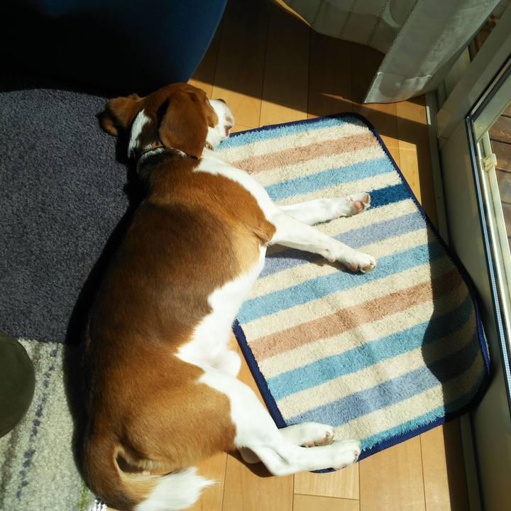 B64178b1 cf4e 49f3 b103 6aae2670f21c 1586228083949