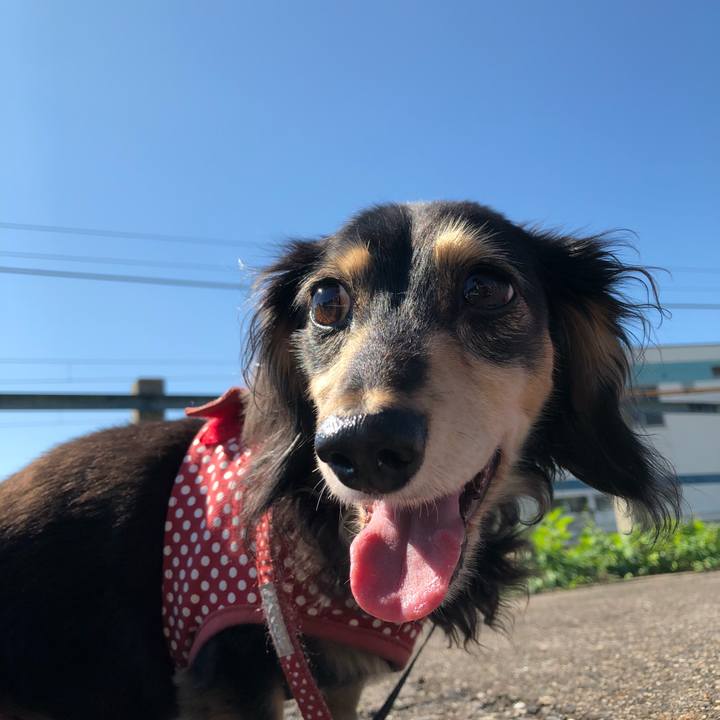 B641aab7 db42 4f55 b82e 16c242d48629 1568595730342