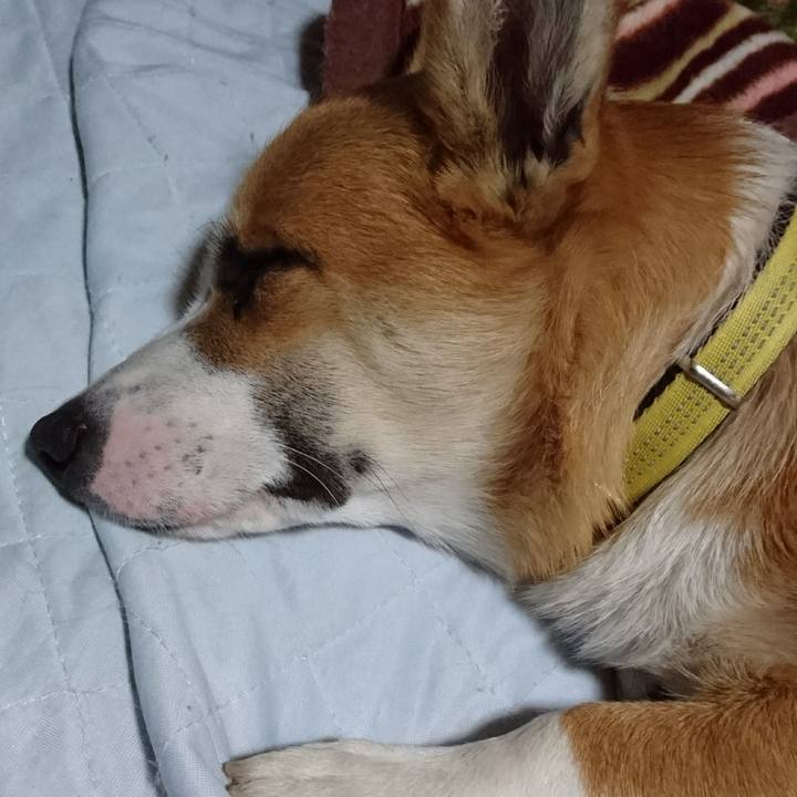 B641b329 9321 401c 9c14 43a5c194b0a2 1574205376548