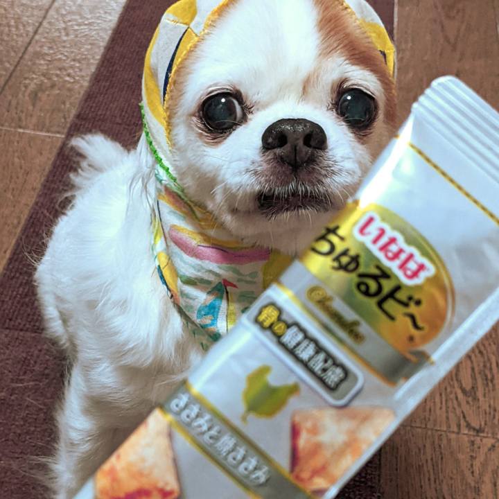 B641cd49 cbed 4a5a a290 cd564a627315 1658211322022