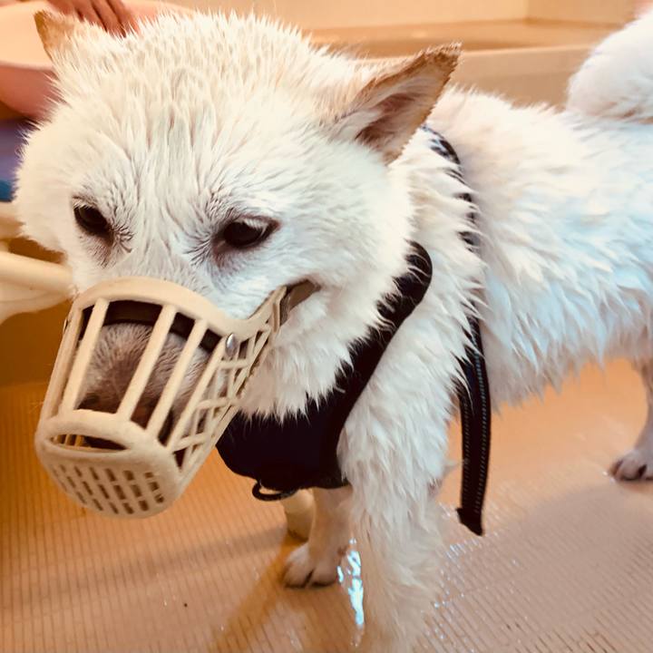 B641d535 015f 4966 a0e8 d30a8c754a89 1652748833652