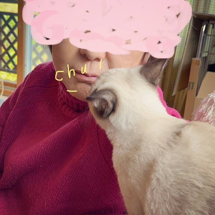 B642150c 4b93 46fd 8719 d21fe242f73d 1668890783650