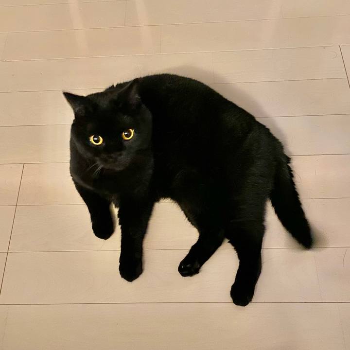 B64226e5 351c 4731 99d9 e5712d5acb59 1663935790838