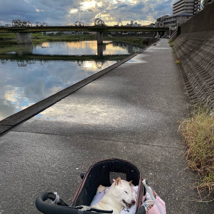 B642629a 50b6 461a 83c4 9e73253b247d 1664969935536