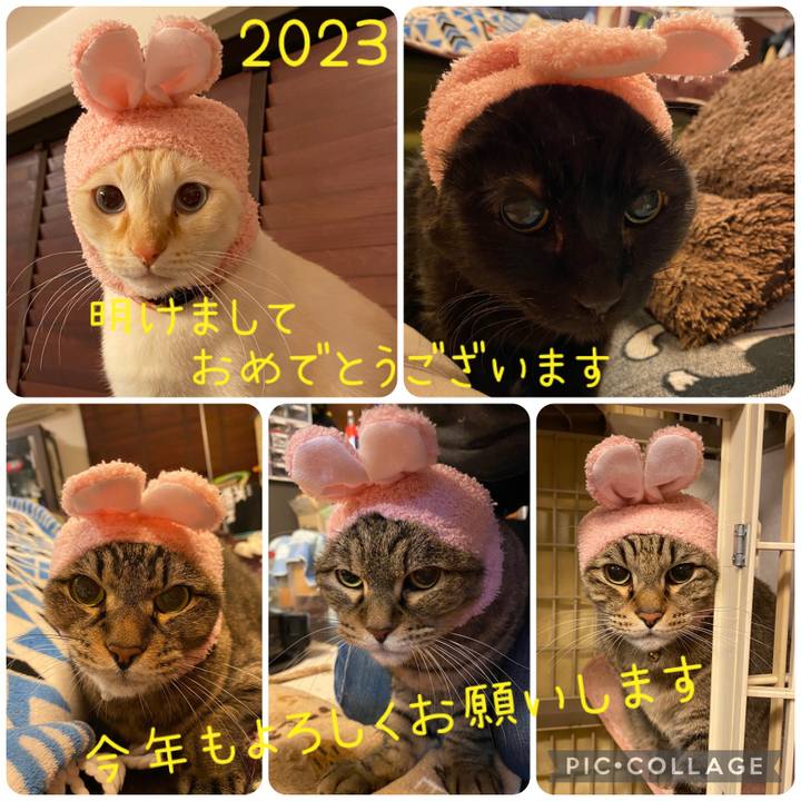 B6427c87 7094 46e0 93c4 010bbaaff609 1672500707879