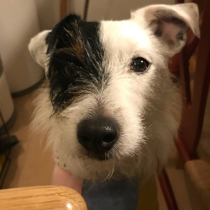 B642b188 9003 4869 8882 ba23af659743 1520764397597