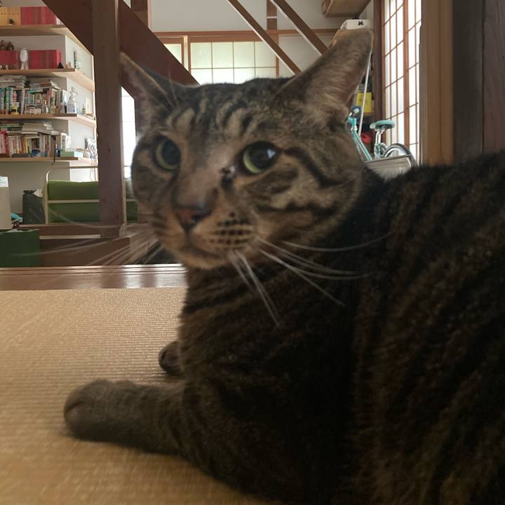 B642b9d1 035b 47af a3a1 1149e9248e58 1717891775455