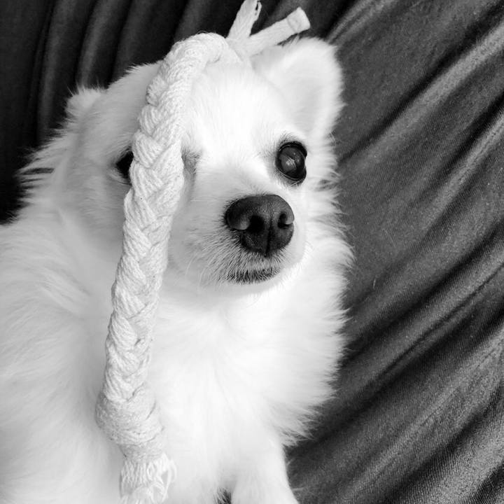 B64314d5 c223 492a 90dd 7bf5dc0df916 1571218241150