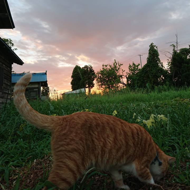 B6434e16 bd7c 4643 9bd6 3fb2a6bae64a 1565776286982