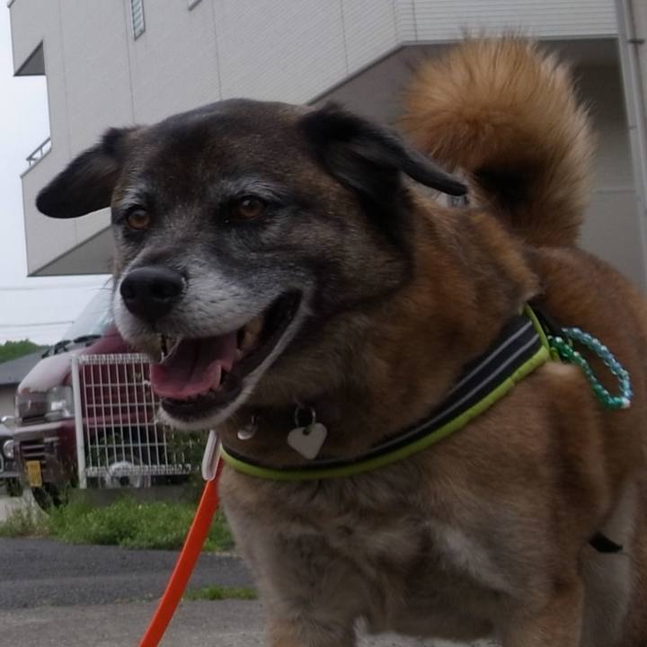 B64350a0 0c4e 4e73 945b 50057f6f2fcc 1581952377563