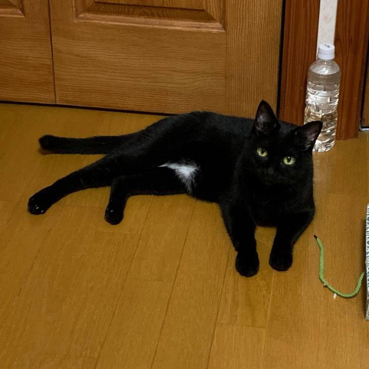 B64369a2 777a 45a0 b0fc 308bdd9374d5 1624965246426