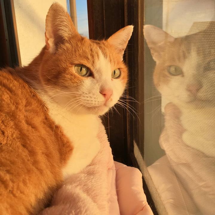 B64377cf b342 4608 b533 775d6c54b20b 1574139605749