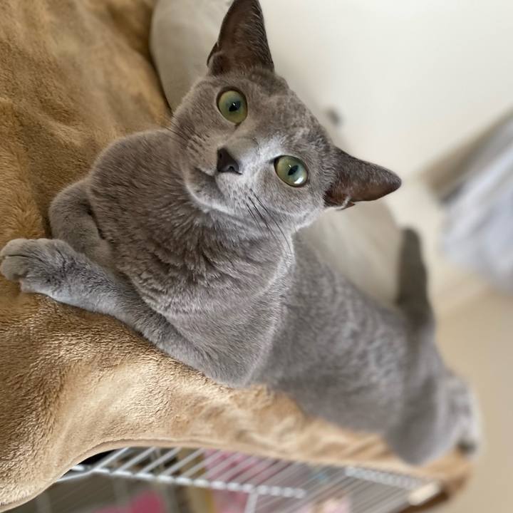 B6438168 a63a 434a a7c5 1685fdc2de18 1664874709899