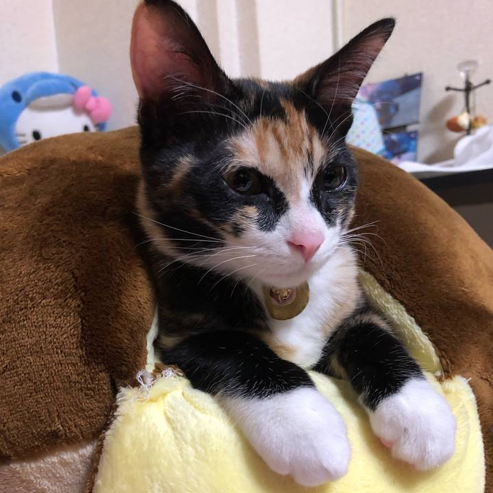 B6438995 f08a 46d8 b668 ba2852df07c0 1547468536951