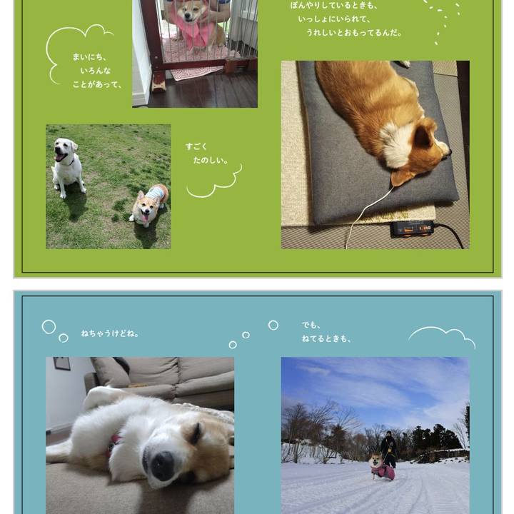 B6438df8 6d8c 4372 906e eda75e3f2567 1719285894677