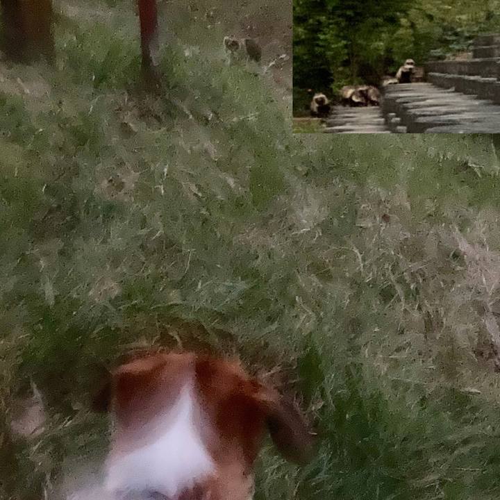 B643a341 3922 4bd4 85a5 fd02ff4737dc 1666870509157