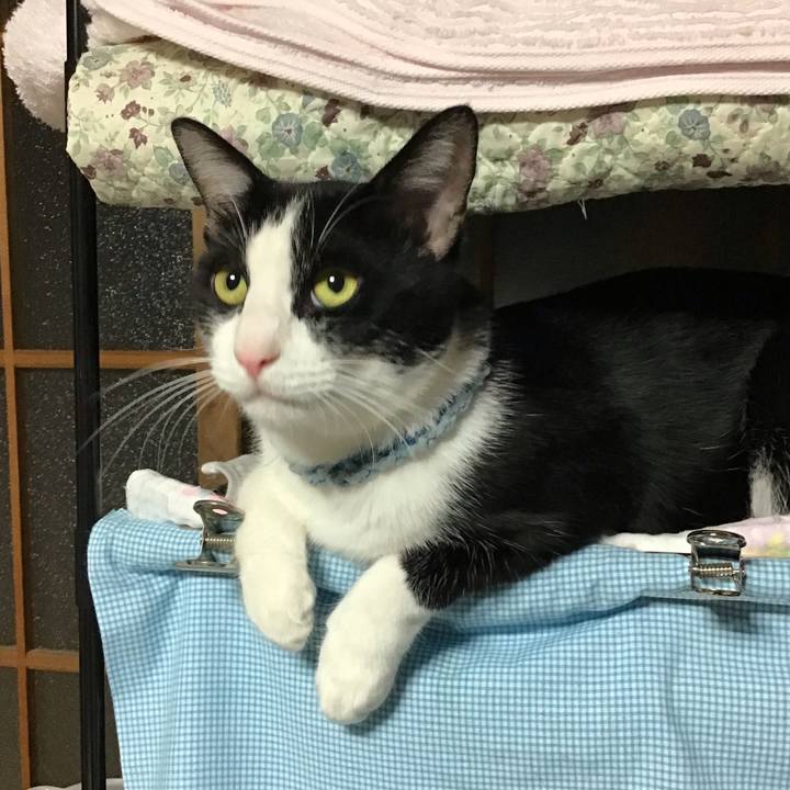 B643af37 1c60 43fd bb96 51d759925da6 1663497234317