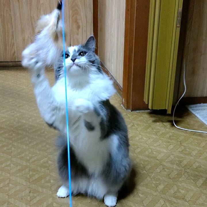 B643b618 445d 4873 abc4 a85ea5d6f822 1598869868410