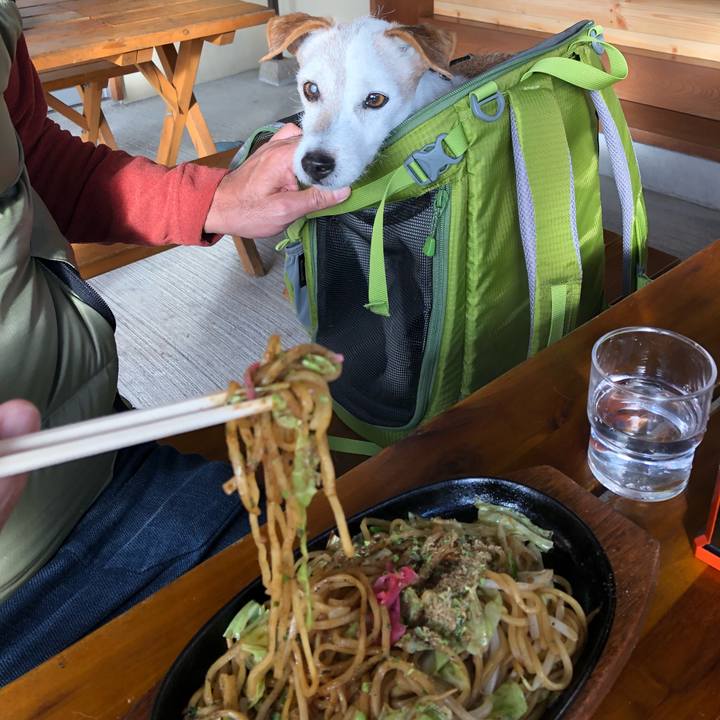 B643b923 7be8 4672 a78c 01de74f30743 1511682191255