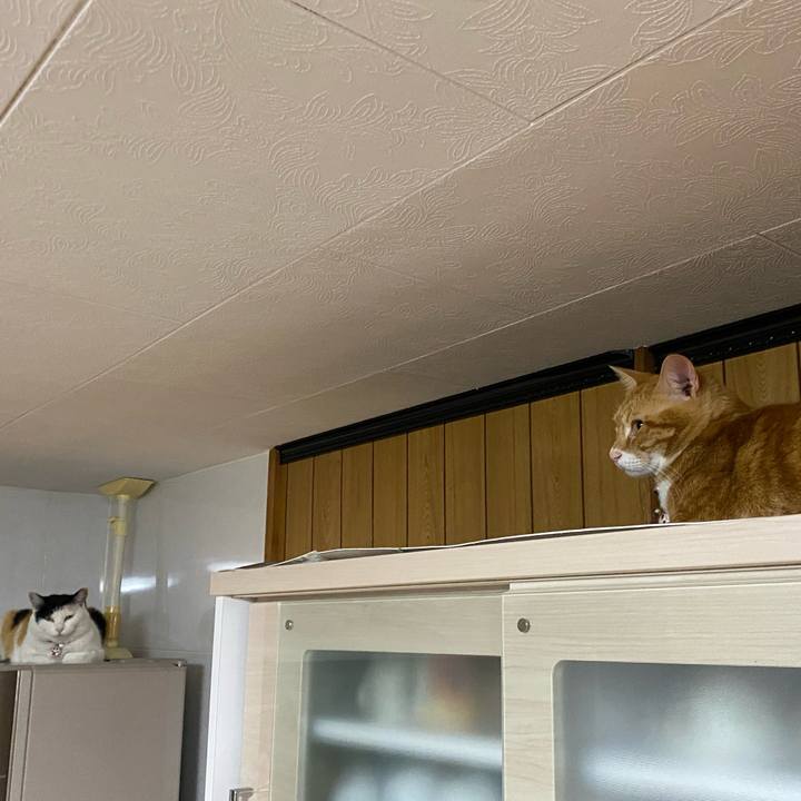 B643bcd7 538e 4f77 89af 7be357103904 1643836846832