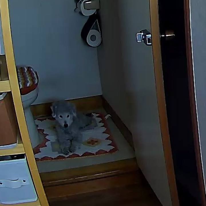 B643c3e2 3fd7 409d 887a 6182c0c8fad1 1585095846402