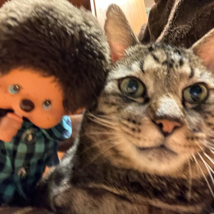 B643d90a 4d33 4907 8e51 eed0896bee22 1762691143043