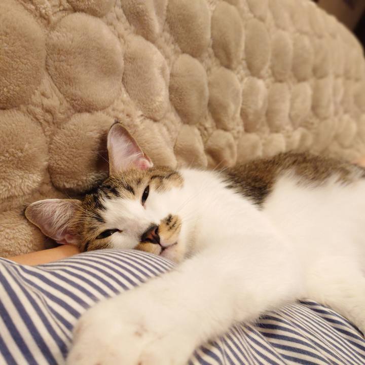 B643da25 9c86 4e78 bd9e f5fcddf89569 1572143695483