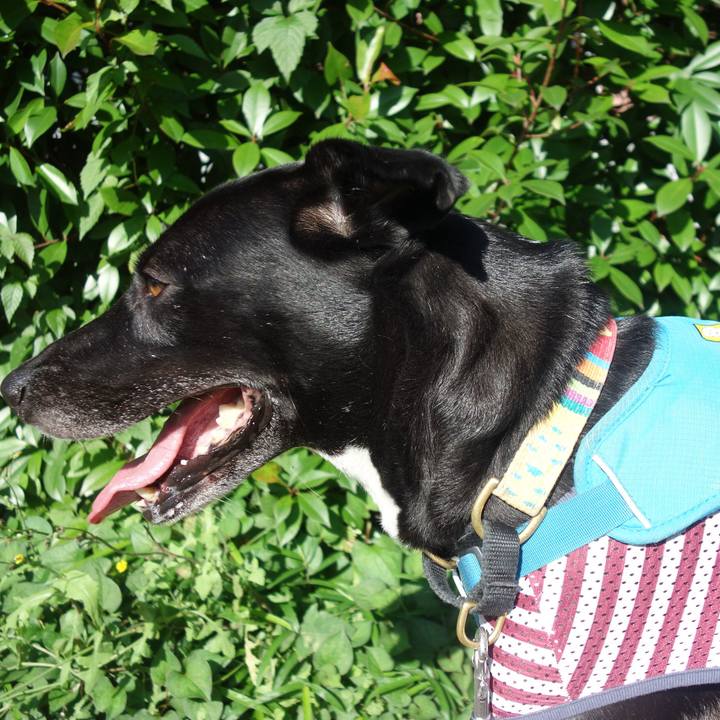 B643fe25 5fa7 4dcb 952d ac657d47a5b3 1626479384228