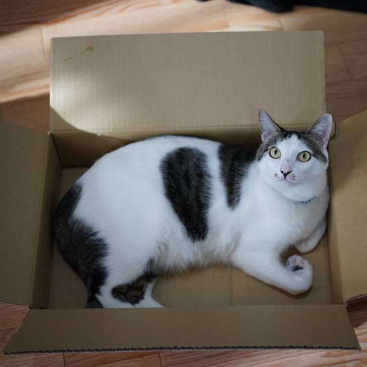 B644147b eaae 465e 8f3b 93ec0ec1f050 1521071296637