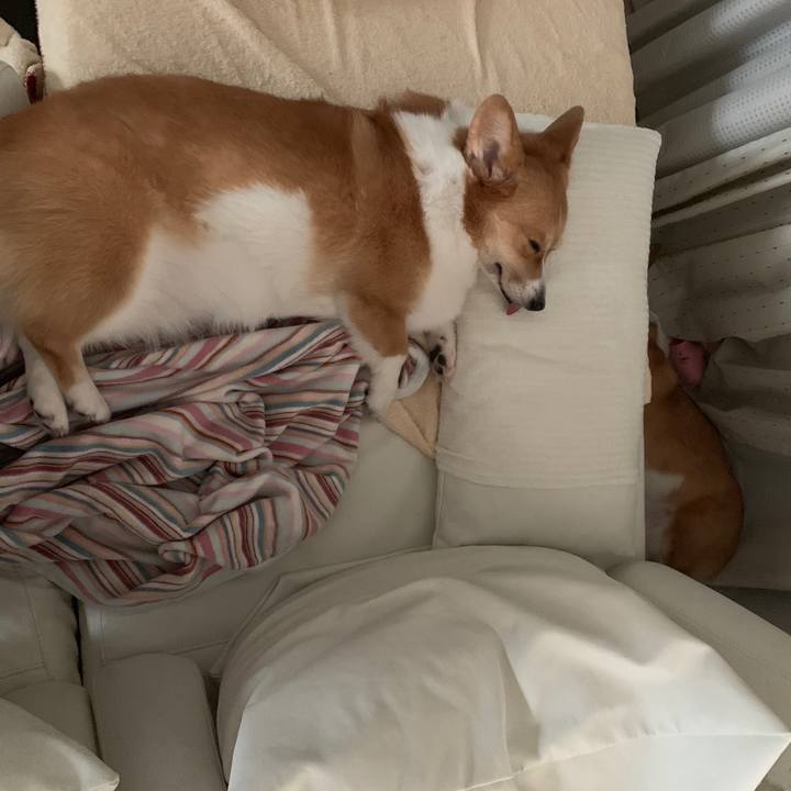 B6442390 4fe9 4d35 bf10 372625dce2f2 1569292364388