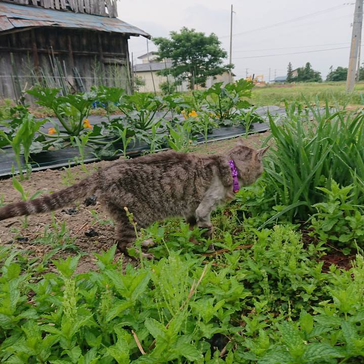 B644606a 4c20 427b bee4 ebacf8aeadd9 1592511948414