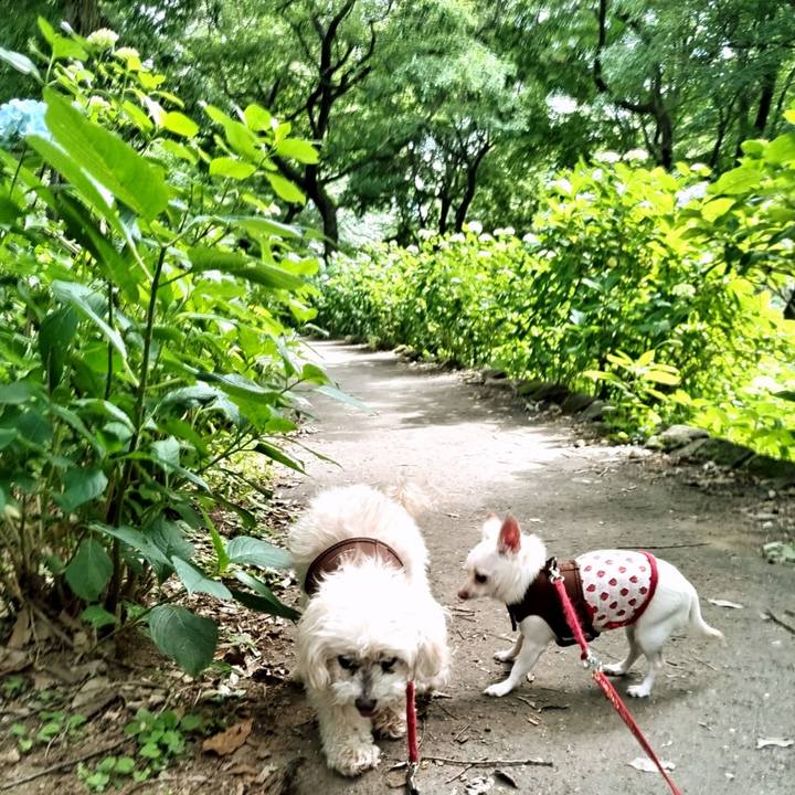 B6446a95 3d35 45aa ab98 f1340434ba9a 1717997855742