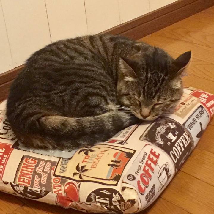 B6449751 3410 47b0 9b22 2110264816da 1559392662485