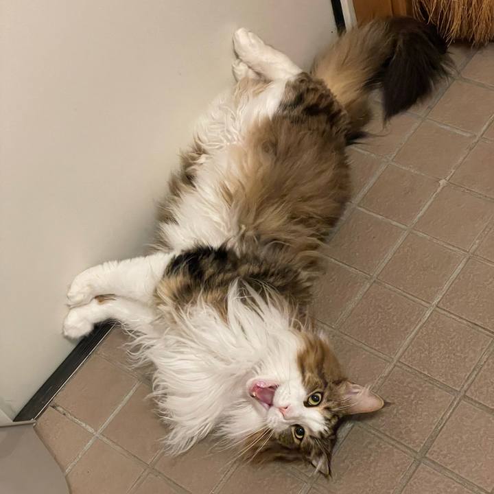 B644a410 481e 4c10 bc20 bb435a952a15 1686857574042