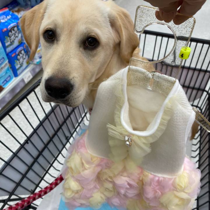 B644b4a4 0578 43c3 af65 7adbf7dc4130 1618389332607