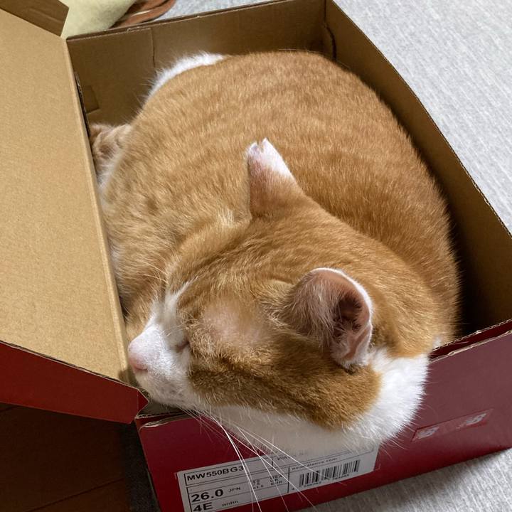 B644cd70 70da 461e a42f 78ec15fa61b7 1763987497827