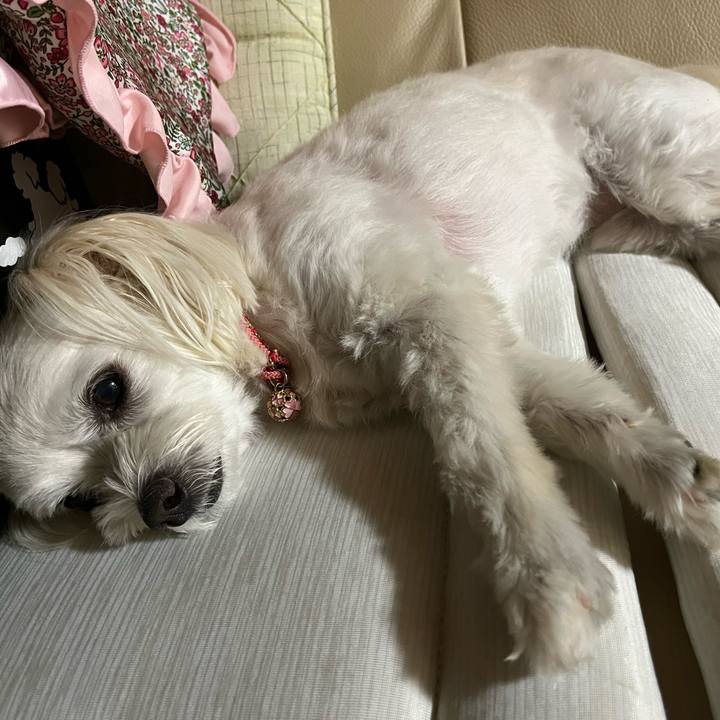 B644ce8a d021 452d b9f7 e18acbc300c6 1692880492965