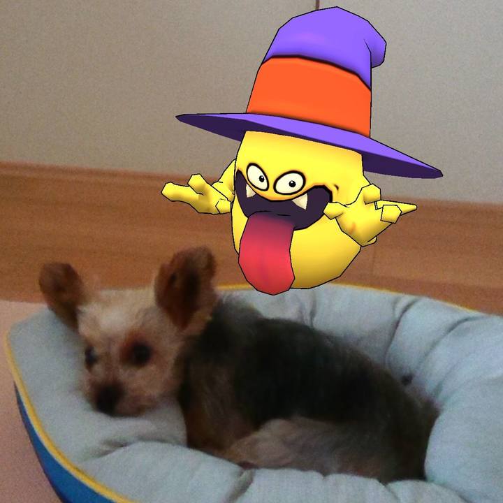 B6450ad1 ddea 4df1 bba9 99d709719d7c 1568339163905