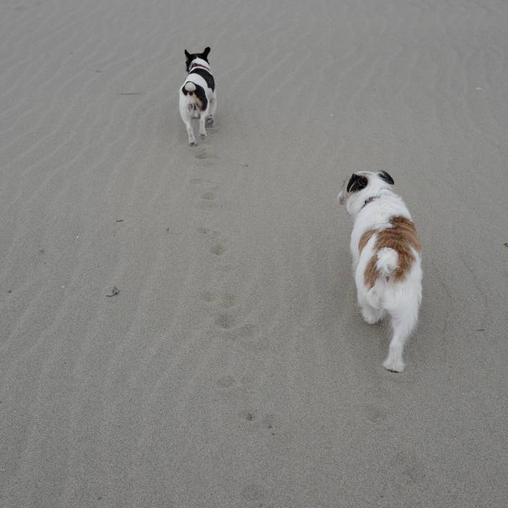 B6451ca9 5023 4065 a8bc dce7e8cadc17 1554626178477