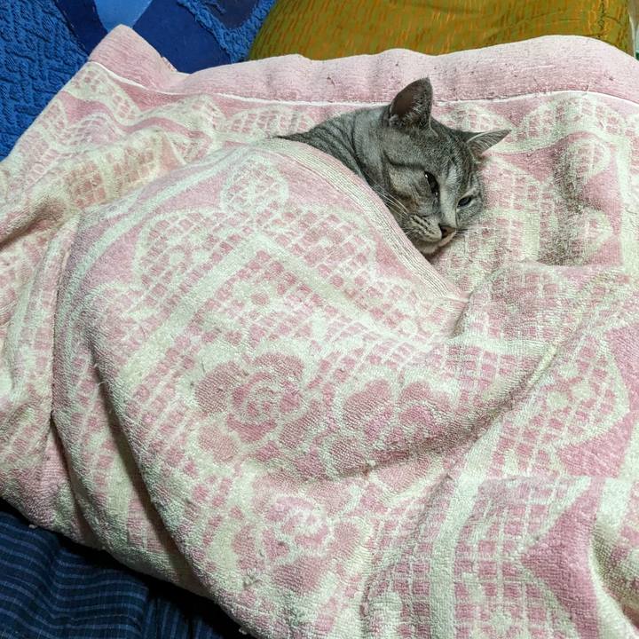 B6451f30 1dd4 45b3 bab8 95f420e7c99e 1699780465962