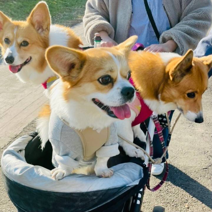 B6452d84 44d4 44ee bfd1 2431f21c1192 1609057210406