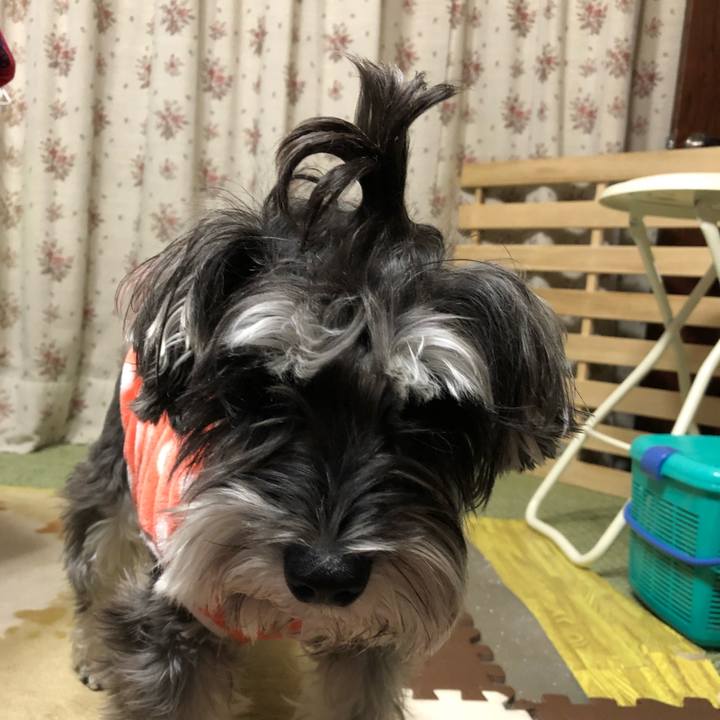 B6455c37 b05b 4187 8d74 2ccdba73ab0b 1515379620200