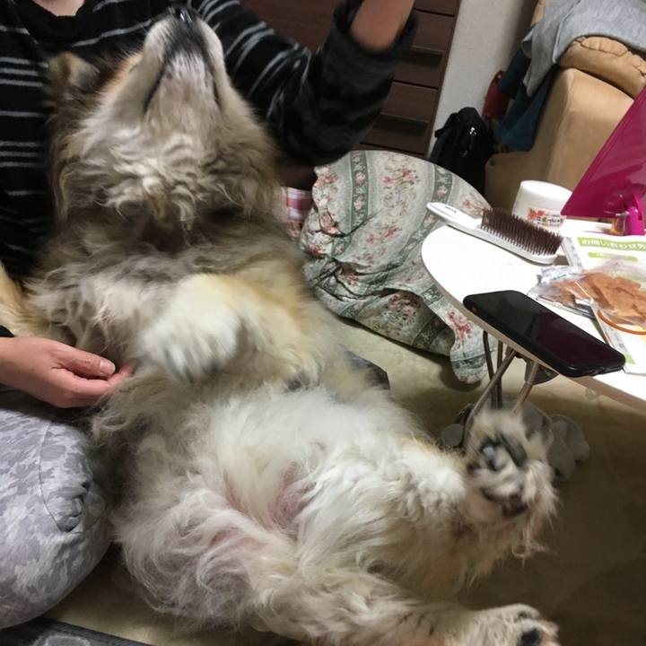 B6456093 1894 41c5 aaee 9d7051efa3d0 1648564824414