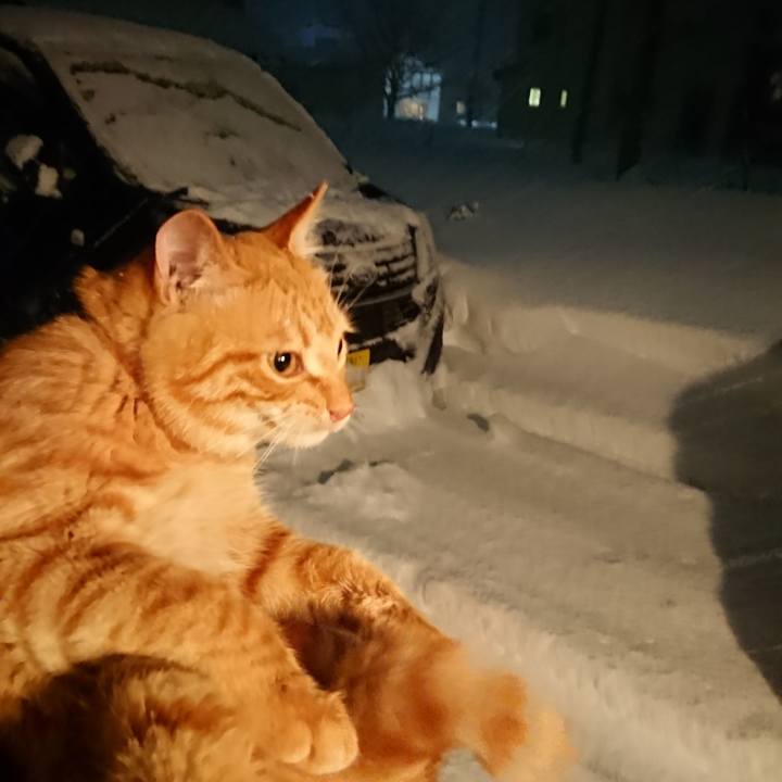 B6457034 6198 4be5 bfa5 fe4e767f2ebe 1640606915441