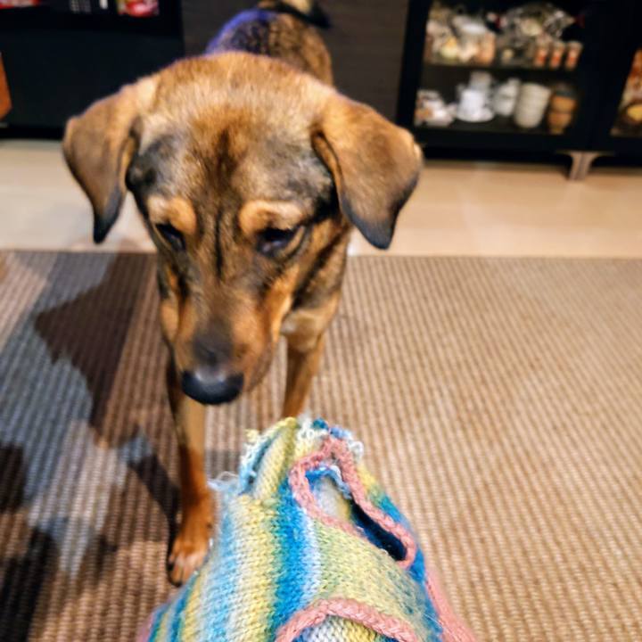 B6457096 20de 4dd2 a772 11c58b66c52a 1707740313807