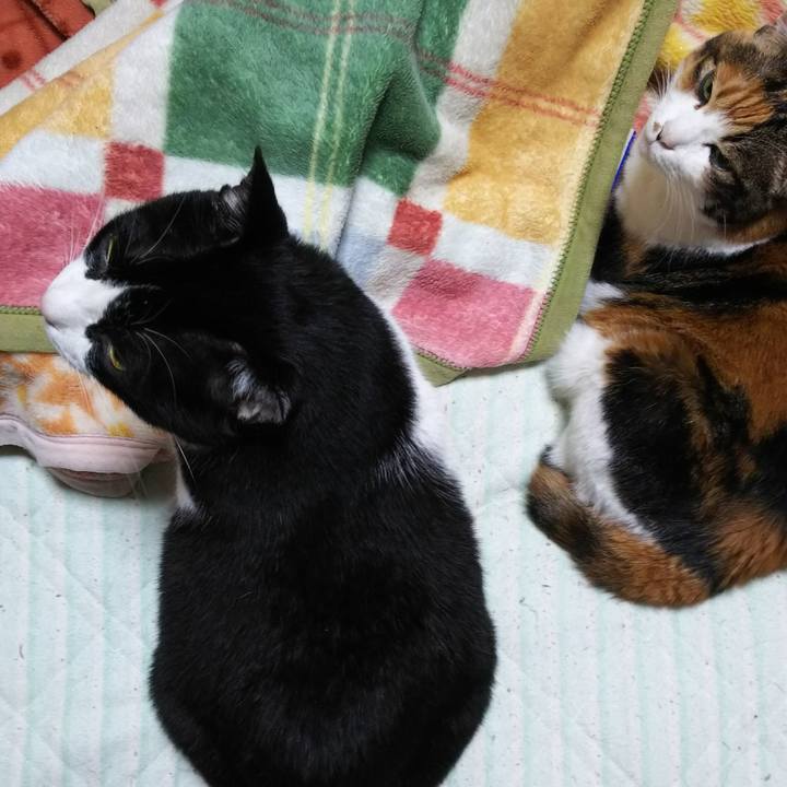 B6458263 53ab 4d8c 83a6 d6f5a78a2d14 1542658463308