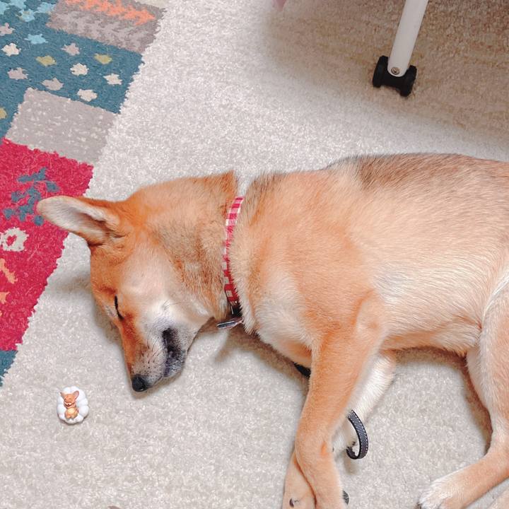 B64591ea 35a0 40d2 bf53 d6539474952b 1665322233757