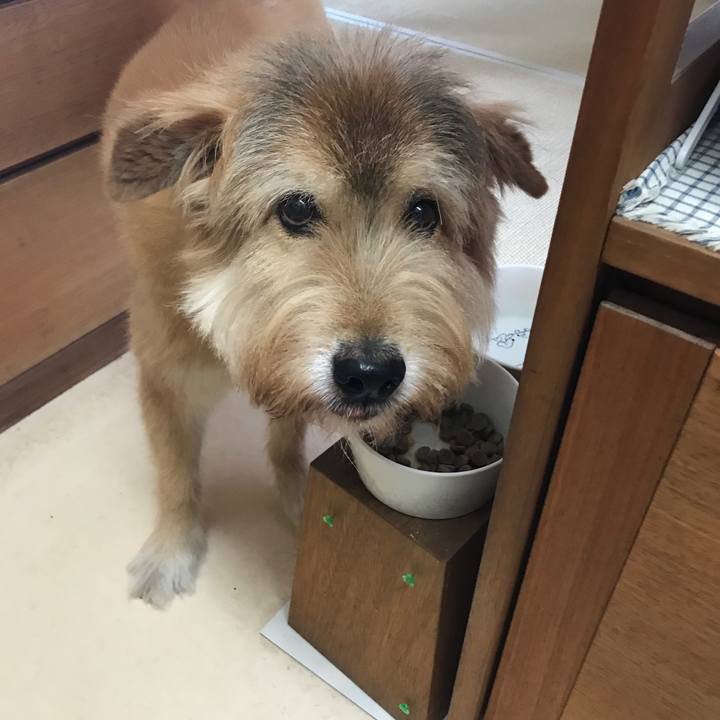 B645bc91 1dd1 4af6 b47f 861c1d675fee 1602388593931