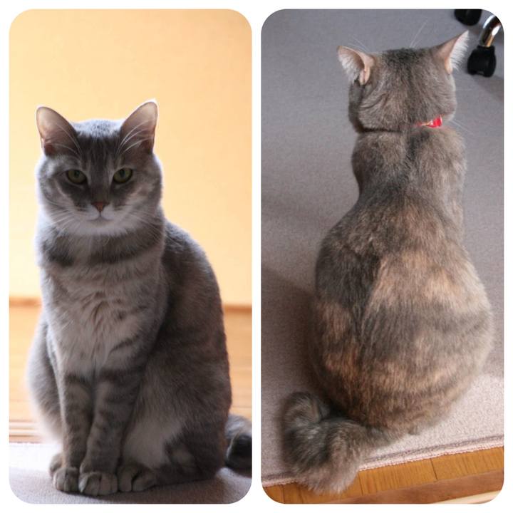 B64673fa b860 437a 88e3 8d76cec53358 1529033705507