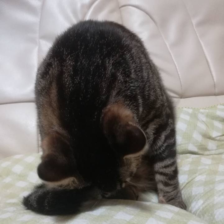 B6469414 bcea 42e2 a904 fc41e200d856 1523023204042